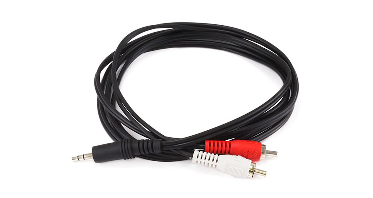 The 2xRCA to mini-jack adaptor is probably the most common cable of its kind.