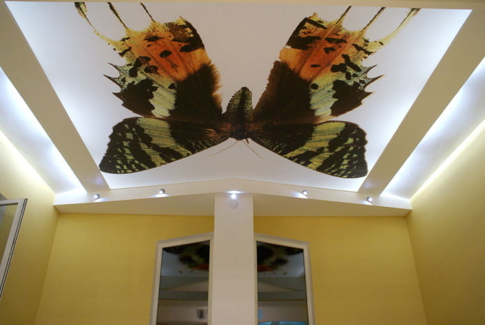 потолок с изображением бабочки