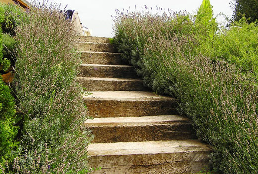 Лестница на склоне с деревянными ступенями 